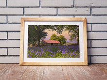 Load image into Gallery viewer, Dartmoor Print of Emsworthy Bluebells | Wildflower flora wall art - Home Decor Gifts - Sebastien Coell Photography