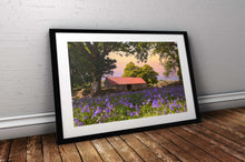 Load image into Gallery viewer, Dartmoor Print of Emsworthy Bluebells | Wildflower flora wall art - Home Decor Gifts - Sebastien Coell Photography