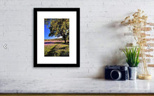 Load image into Gallery viewer, Dartmoor art of Emsworthy Common | Bluebell WildFlower art for Sale - Home Decor - Sebastien Coell Photography