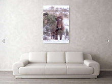Load image into Gallery viewer, Equine art of a Dartmoor Pony | Animal art for Sale - Home Decor Gifts - Sebastien Coell Photography
