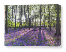 Load image into Gallery viewer, Woodland Photography | Bluebell Prints and Wild Flower Art - Home Decor Gifts