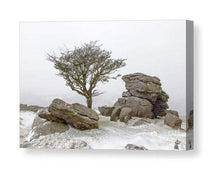 Load image into Gallery viewer, Dartmoor Prints | Hawthorn Tree art, Holwell Lawn Dartmoor Winter Photography - Sebastien Coell Photography