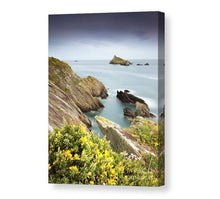 Load image into Gallery viewer, Print / Canvas Froward Point wall art, Kingswear Devon Photography present xmas christmas gifts photo rock coastal island fineart home decor