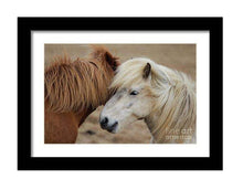 Load image into Gallery viewer, Equine art of an Icelandic Horse | Wildlife Prints for Sale - Home Decor Gifts - Sebastien Coell Photography