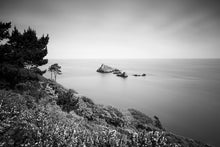 Load image into Gallery viewer, Print / Canvas Froward Point Kingswear wall art, Devon Black White Photography fineart photos island Brixham home decor Christmas gifts sea