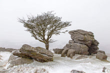 Load image into Gallery viewer, Dartmoor Prints | Hawthorn Tree art, Holwell Lawn Dartmoor Winter Photography - Sebastien Coell Photography