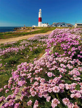 Load image into Gallery viewer, Dorset art of Portland Bill Lighthouse | Jurassic Coast Pictures for Sale - Home Decor Gifts - Sebastien Coell Photography