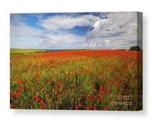 Load image into Gallery viewer, Wildflower Prints of Poly Joke, Poppy Field Photography for Sale, Cornwall Landscape Prints Home Decor Gifts - SCoellPhotography