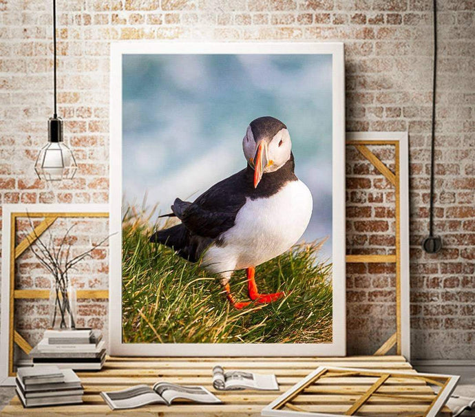 Puffin Prints | Animal Art and Iceland Prints for Sale - Home Decor Gifts - Sebastien Coell Photography
