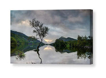 Load image into Gallery viewer, North Wales photography of The Lone Tree | Llanberis wall art - Home Decor Gifts - Sebastien Coell Photography
