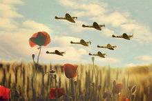 Load image into Gallery viewer, Aviation Art | British RAF WW2 Spitfire Wall Art, Poppy Field Flower Photography - Sebastien Coell Photography