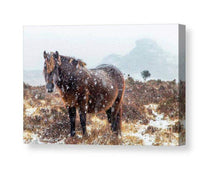 Load image into Gallery viewer, Dartmoor Pony Print | Haytor Rocks in the Snow, Equine wall art - Home Decor Gifts - Sebastien Coell Photography