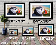 Load image into Gallery viewer, Night time Print of Hamnoy | Lofoten Island Mountain Photography for Sale - Home Decor - Sebastien Coell Photography