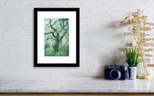 Load image into Gallery viewer, Dartmoor Prints of Wistmans Wood, Woodland Photographic Prints, Twisted Oak Tree wall art, Devon Photography - SCoellPhotography