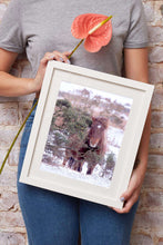 Load image into Gallery viewer, Equine art of a Dartmoor Pony | Animal art for Sale - Home Decor Gifts - Sebastien Coell Photography