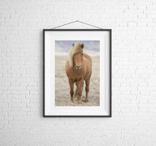 Load image into Gallery viewer, Icelandic Horse Art | Animal art for Sale and Wildlife prints - Home Decor Gifts - Sebastien Coell Photography
