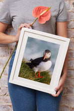 Load image into Gallery viewer, Puffin Prints | Animal Art and Iceland Prints for Sale - Home Decor Gifts - Sebastien Coell Photography