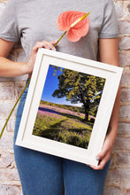 Load image into Gallery viewer, Dartmoor art of Emsworthy Common | Bluebell WildFlower art for Sale - Home Decor - Sebastien Coell Photography