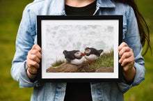 Load image into Gallery viewer, Icelandic Puffin Print | Latrabjarg cliff wall art, Wildlife Prints - Home Decor Gifts - Sebastien Coell Photography