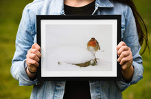 Load image into Gallery viewer, Wildlife Prints in the Snow, Robin Prints for Sale and Animal wall art Home Decor Gifts - SCoellPhotography