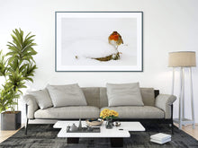Load image into Gallery viewer, Wildlife Prints in the Snow, Robin Prints for Sale and Animal wall art Home Decor Gifts - SCoellPhotography