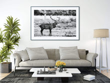 Load image into Gallery viewer, Stag Print at Richmond Park London, Deer pictures for Sale, Red Deer Photography Home Decor Gifts - SCoellPhotography