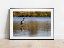 Load image into Gallery viewer, Wildlife Print of a Heron at London Richmond park, Animal Art and Bird Photography Home Decor Gifts - SCoellPhotography