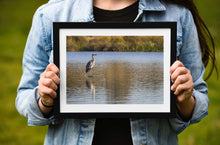 Load image into Gallery viewer, Wildlife Print of a Heron at London Richmond park, Animal Art and Bird Photography Home Decor Gifts - SCoellPhotography