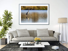 Load image into Gallery viewer, Wildlife Print of a Heron at London Richmond park, Animal Art and Bird Photography Home Decor Gifts - SCoellPhotography