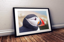 Load image into Gallery viewer, Iceland Puffin Print | Wildlife Photography, Icelandic animal art - Home Decor Prints - Sebastien Coell Photography