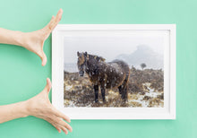 Load image into Gallery viewer, Dartmoor Pony Print | Haytor Rocks in the Snow, Equine wall art - Home Decor Gifts - Sebastien Coell Photography