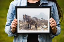 Load image into Gallery viewer, Dartmoor Pony Print | Haytor Rocks in the Snow, Equine wall art - Home Decor Gifts - Sebastien Coell Photography