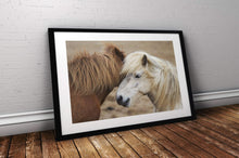 Load image into Gallery viewer, Equine art of an Icelandic Horse | Wildlife Prints for Sale - Home Decor Gifts - Sebastien Coell Photography