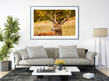 Load image into Gallery viewer, Stag Print at Richmond Park, London Wildlife Pictures, Red Deer Photography and Home Decor Gifts - SCoellPhotography