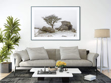 Load image into Gallery viewer, Dartmoor Prints | Hawthorn Tree art, Holwell Lawn Dartmoor Winter Photography - Sebastien Coell Photography
