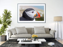 Load image into Gallery viewer, Iceland Puffin Print | Wildlife Photography, Icelandic animal art - Home Decor Prints - Sebastien Coell Photography