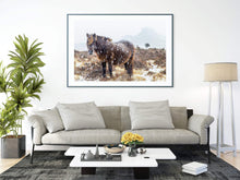 Load image into Gallery viewer, Dartmoor Pony Print | Haytor Rocks in the Snow, Equine wall art - Home Decor Gifts - Sebastien Coell Photography