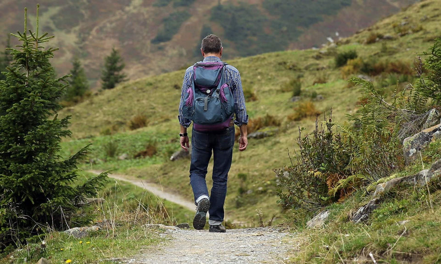 10 Best Short Dartmoor Walks for the Family