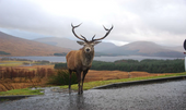 12 MOST BEAUTIFUL PLACES TO VISIT IN SCOTLAND - Sebastien Coell Photography