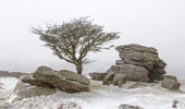 Top 5 Places to Visit on Dartmoor - SCoellPhotography