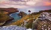 Photographer's Location Guide to Boscastle, Cornwall: Wildflowers, Seascapes, and Cliffside Views