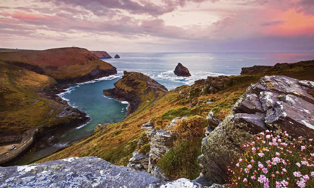 Photographer's Location Guide to Boscastle, Cornwall: Wildflowers, Sea