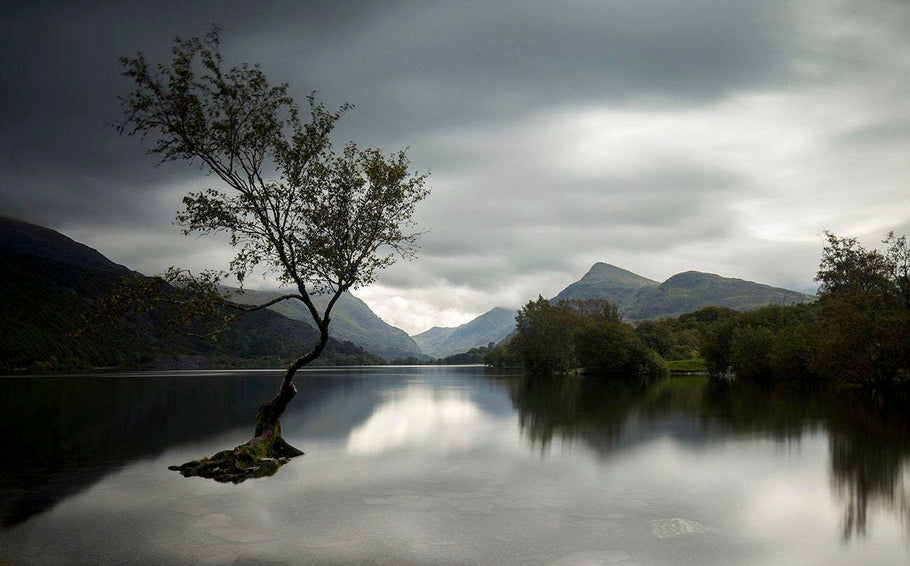 A Photographer’s Guide to Llyn Padarn Lone Tree and Snowdonia, Wales