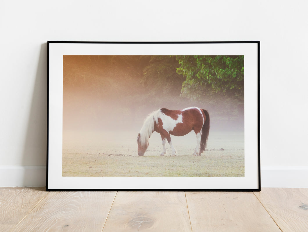 Dartmoor Print of a Pony | Harrowbeer Wildlife Photography, Equine wall art - Home Decor Gifts