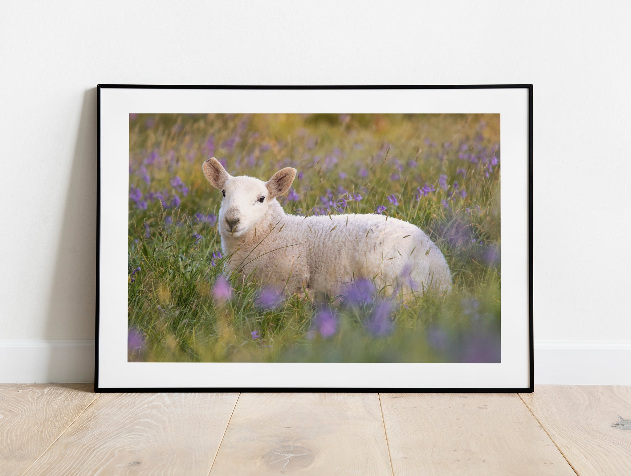 See our full range of Wildlife and animal wall art and framed prints for sale