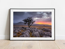 Load image into Gallery viewer, Yorkshire Dales Landscape Photography |  Twistleton Scar Photos Limestone Tree Sunset Wall Art for Sale - Home Decor Gifts
