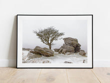 Load image into Gallery viewer, Dartmoor Prints | Hawthorn Tree art, Holwell Lawn Dartmoor Winter Photography
