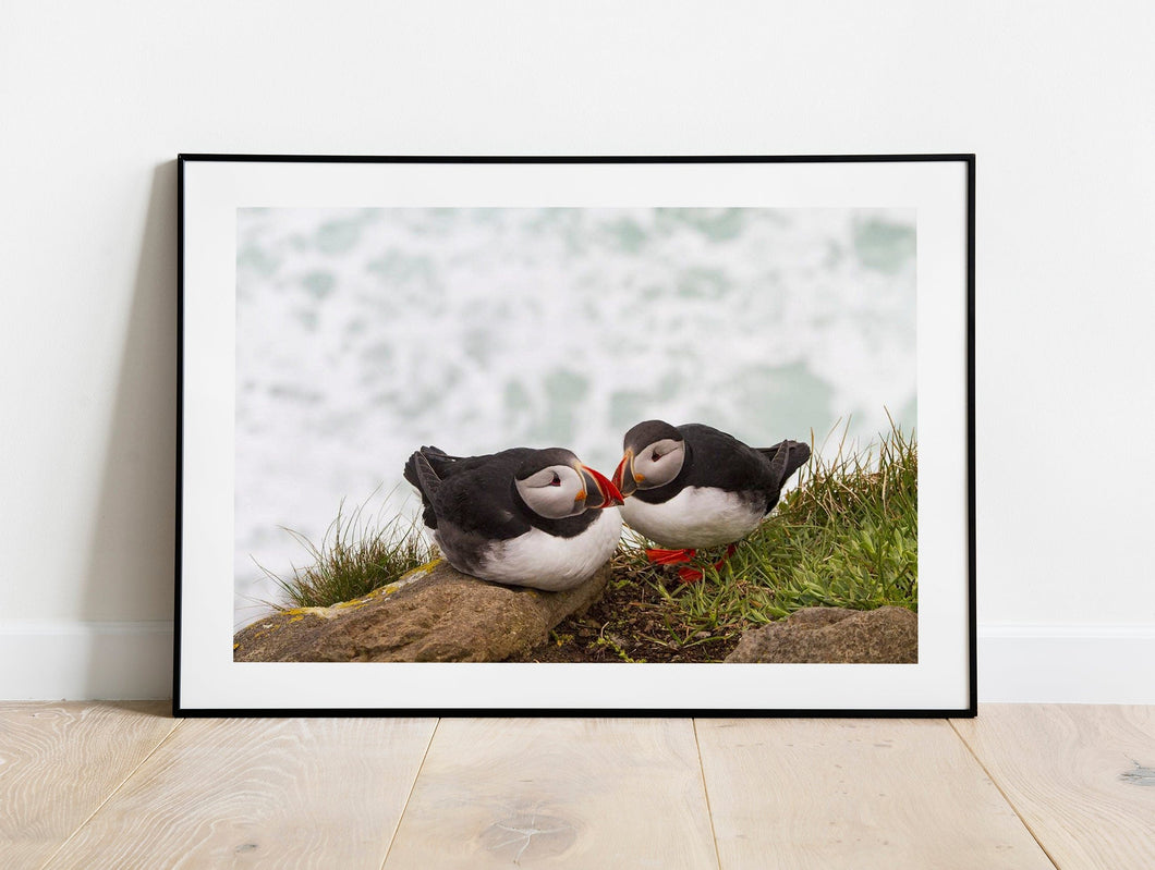 Icelandic Puffin Print | Latrabjarg cliff wall art, Wildlife Prints - Home Decor Gifts