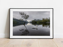 Load image into Gallery viewer, Llanberis Lone Tree Prints | Snowdonian art, Llyn Padarn Mountain Photography - Home Decor
