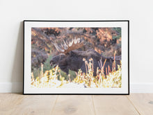 Load image into Gallery viewer, Moose Print – Moose Elk Animal Wall Art | Yellowstone National Park Wildlife Nature Decor &amp; Gift Ideas
